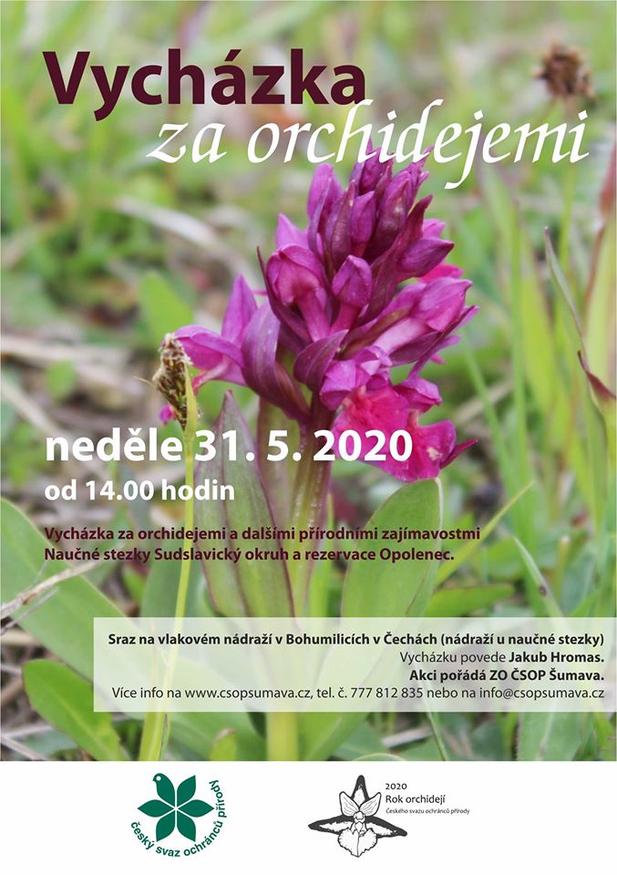 ČSOP  Šumava orchideje.jpg